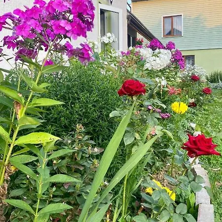 Medova Hata Guest house Verkhnyaya Rozhanka